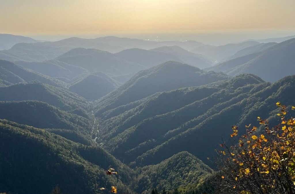 Le Valli del Natisone